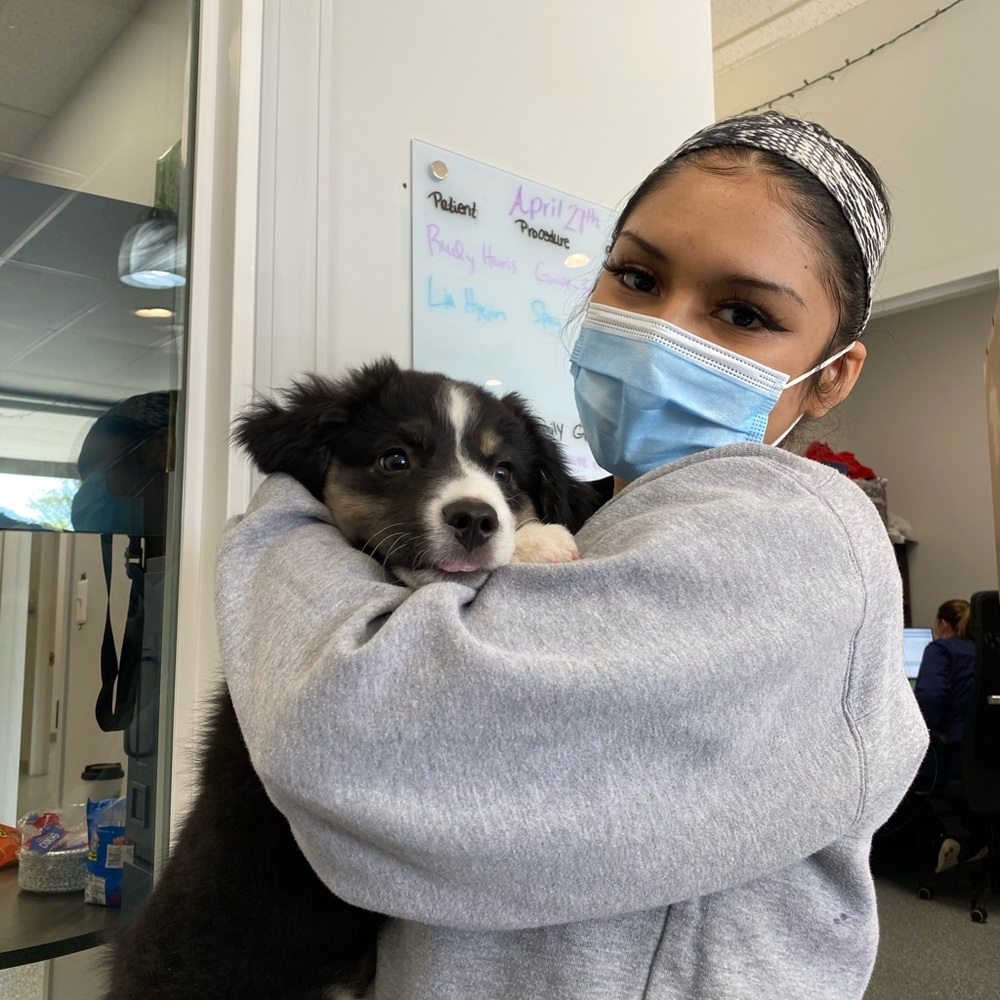 Meet your Posher, Evita